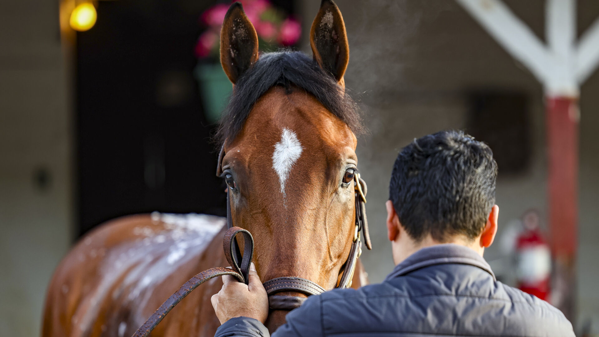 Belmont Stakes odds, post positions: Journalism a slight favorite over Sovereignty